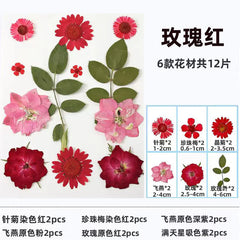 DIY Dried Flower Bookmark Kit