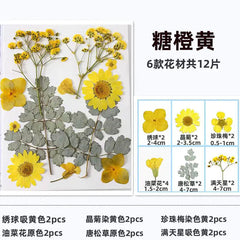 DIY Dried Flower Bookmark Kit